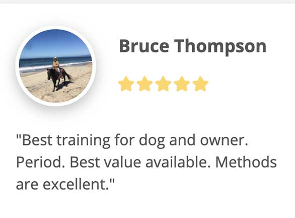 best training fro dog and owner. Period. Best value available. methods are excellent